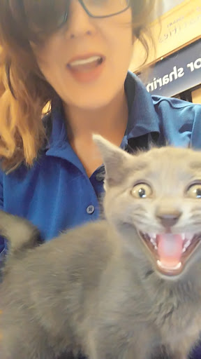 Pet Supply Store «PetSmart», reviews and photos, 4642 Lebanon Pike, Hermitage, TN 37076, USA