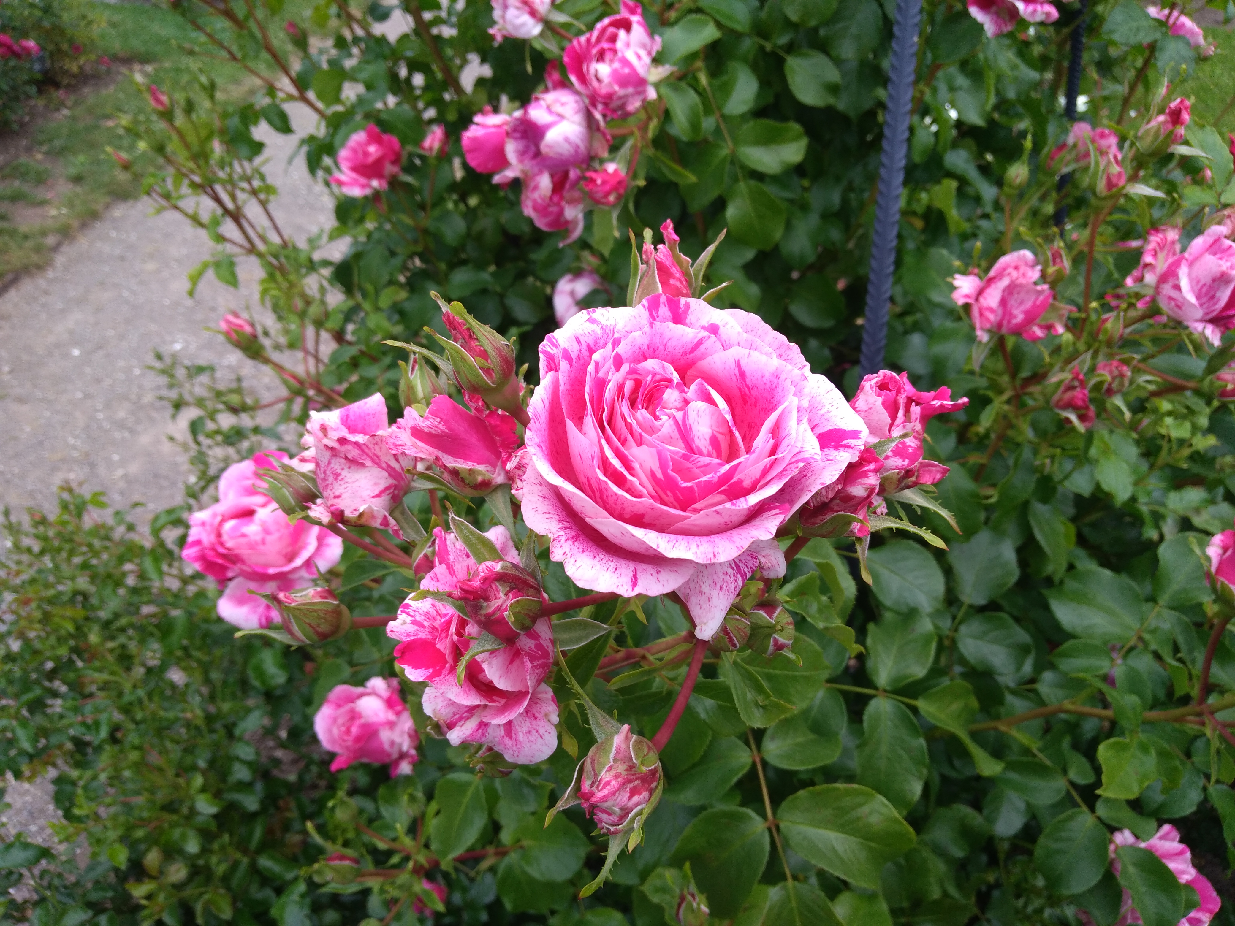 Photo n° 2 de l'avis de Emmanuelle.e fait le 16/06/2019 à 12:45