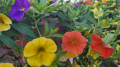 Department Store «Rural King», reviews and photos, 2947 S Washington St, Kokomo, IN 46902, USA