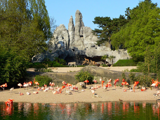 Hagenbeck Zoo unter Hamburg, 