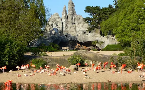 Hagenbeck Zoo image