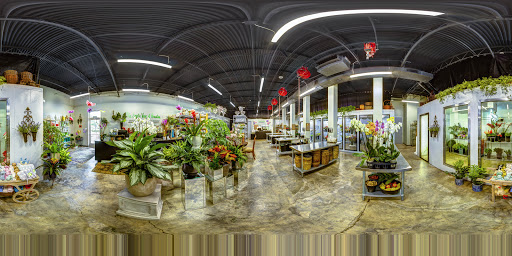 Florist «The Empty Vase of Houston», reviews and photos, 2511 River Oaks Blvd, Houston, TX 77019, USA