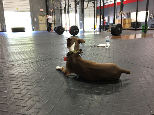 Gym «CrossFit Fishers», reviews and photos, 10080 E 121st St #133, Fishers, IN 46037, USA