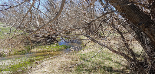 Golf Club «Spring Valley Golf Club», reviews and photos, 42350 Co Rd 17/21, Elizabeth, CO 80107, USA