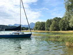 Photo de Plage Lac Gruyere avec un niveau de propreté de très propre