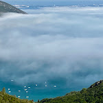 Photo n°1 de l'avis de Vitor.o fait le 12/10/2023 à 06:59 sur le  Adega Leo do Petisco à Setúbal