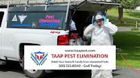 TAAP Pest Elimination, Inc. - Photo 2 - Car repair in , Rochester