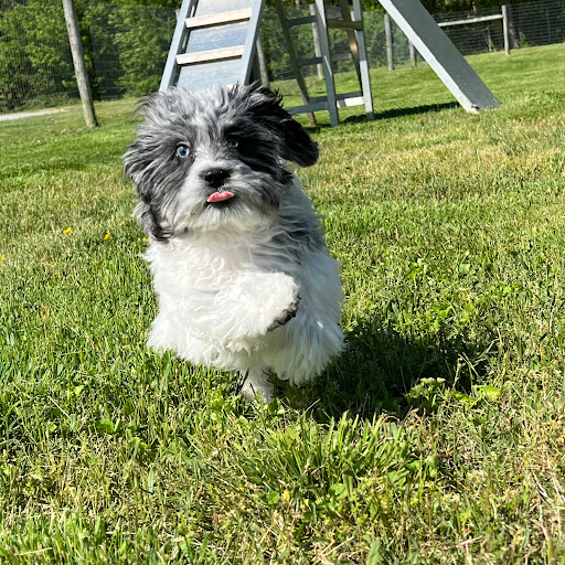 Pet Store «PV Pets», reviews and photos, 233 S Broadway, Pennsville, NJ 08070, USA