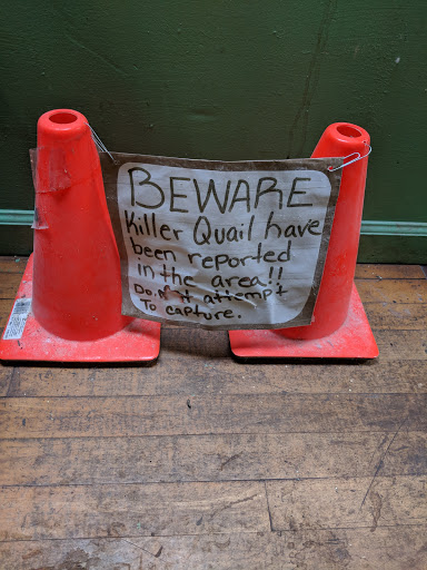 Pet Supply Store «The Animal Connection», reviews and photos, 2550 2550 Judah St & 31st Ave, San Francisco, CA 94122, USA