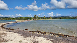 Playa Sun Bay'in fotoğrafı imkanlar alanı