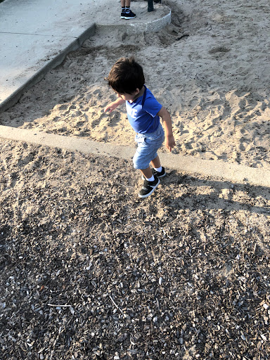 Park «Dr. Martin Luther King Jr. Park», reviews and photos, 42 N Farnsworth Ave, Aurora, IL 60505, USA