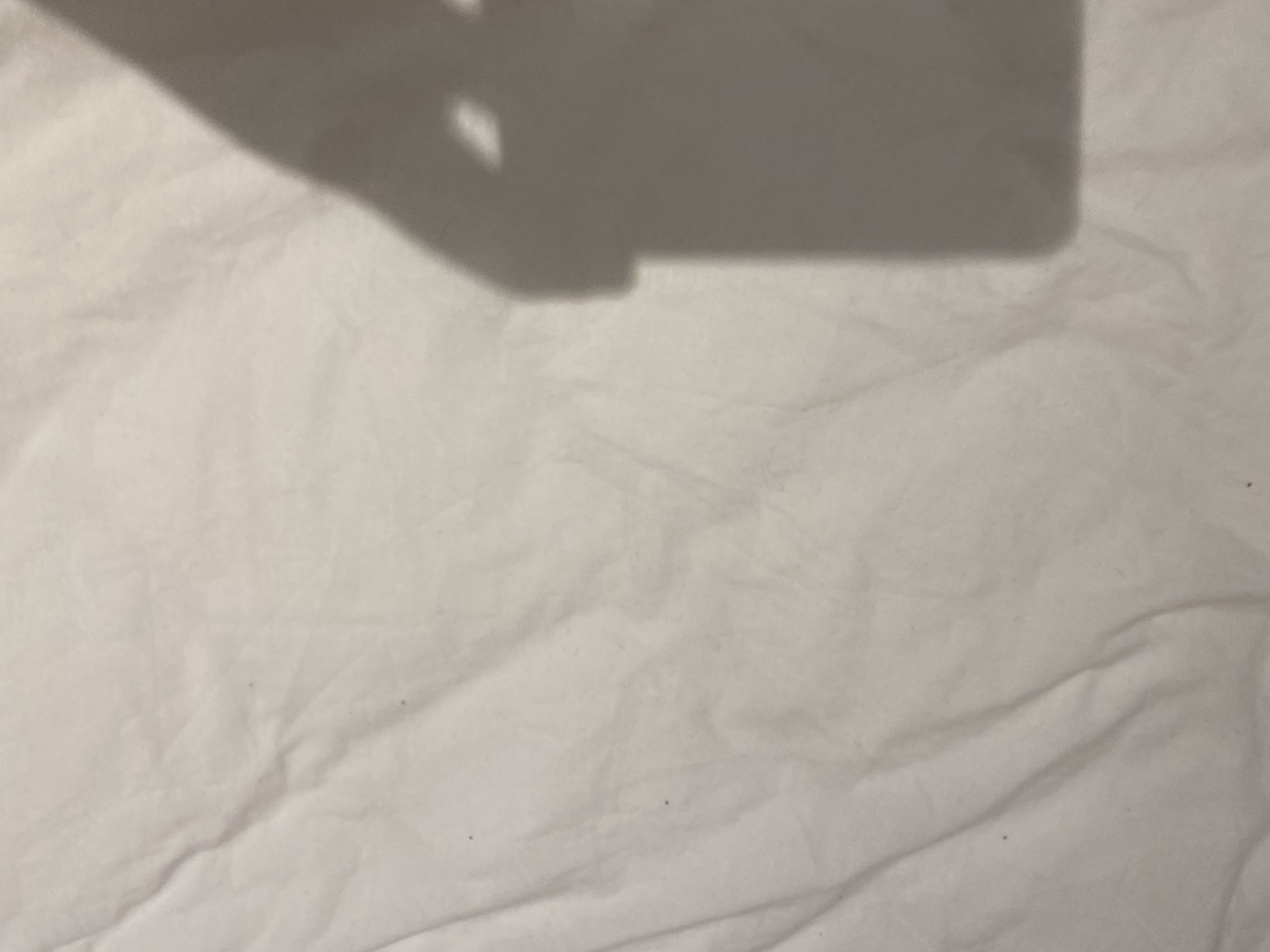 Photo n° 2 de l'avis de Pat.a fait le 16/03/2024 à 20:27