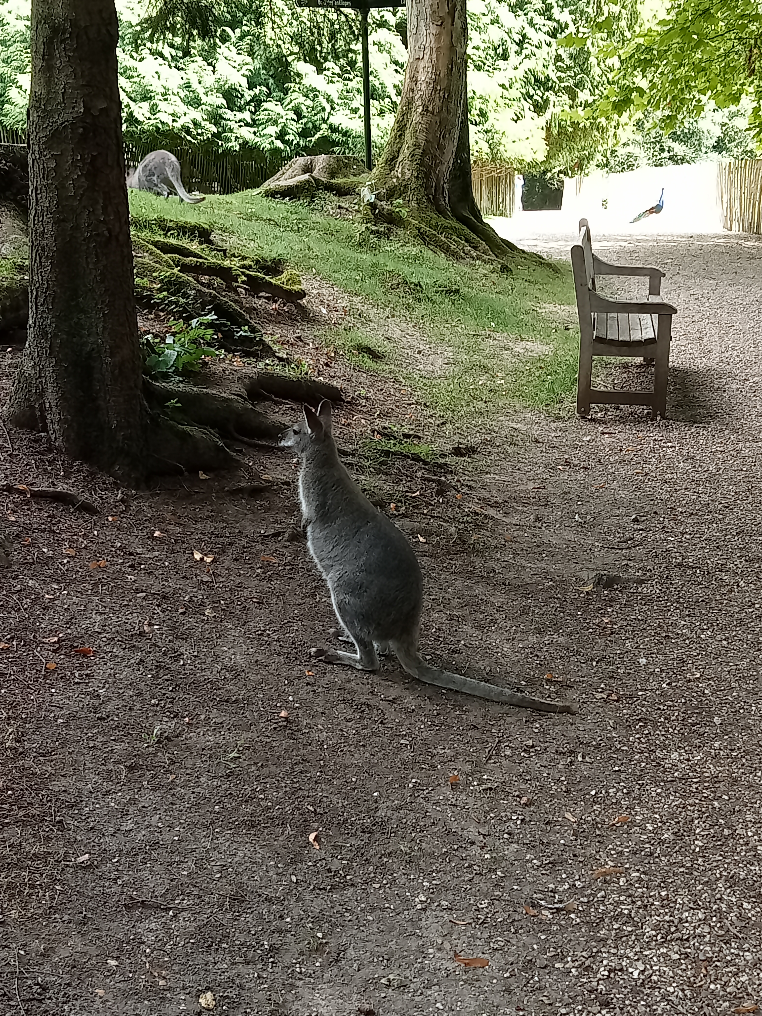 Photo n° 2 de l'avis de Christine.i fait le 23/08/2023 à 13:13