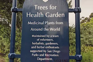 Trees for Health Garden image