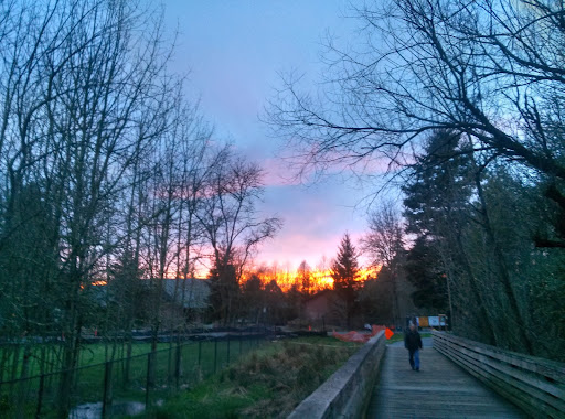 Park «Vista Brook Park», reviews and photos, 6697 SW 88th Ave, Portland, OR 97223, USA