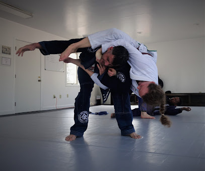 Studio 360 Brazilian Jiu-Jitsu/Thai Boxing/Judo