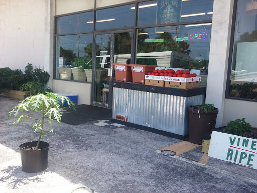 Grocery Store «Discount Groceries & More», reviews and photos, 2185 A1A S, St Augustine, FL 32080, USA