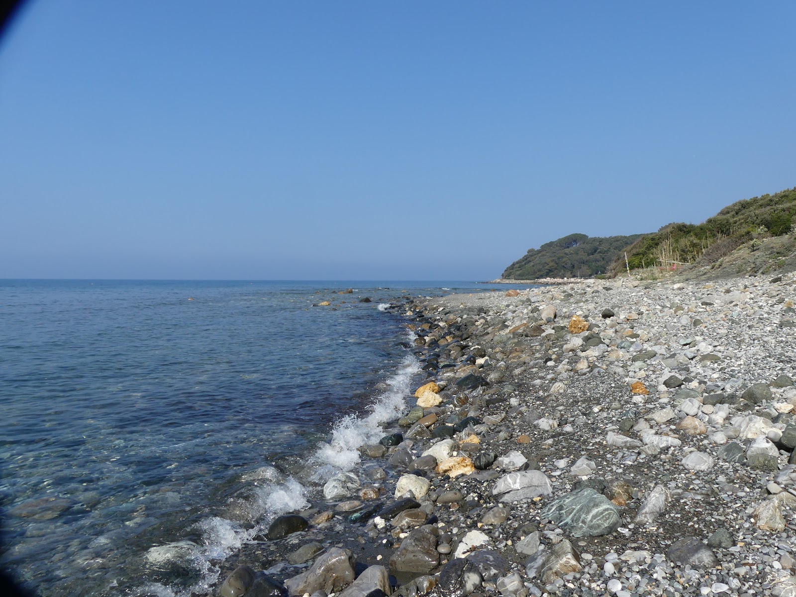 Spiaggia Fortullino'in fotoğrafı düz bir kıyı şeridi ile birlikte