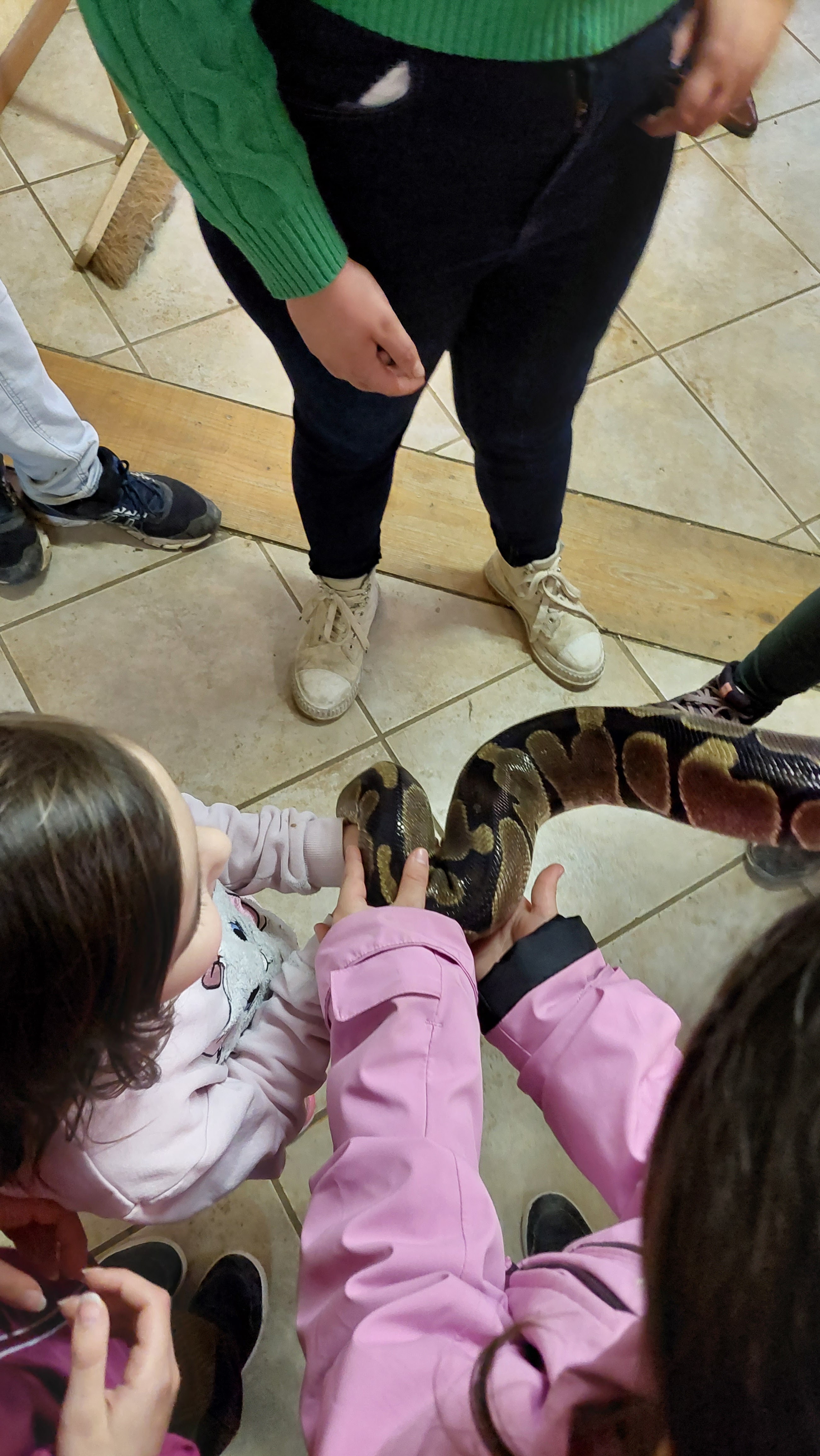 Photo n° 1 de l'avis de jean-baptiste.u fait le 11/03/2023 à 23:56