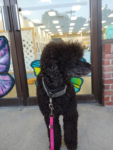 Shopping Mall «Saco Valley Shopping Center», reviews and photos, 4 Scamman St, Saco, ME 04072, USA