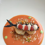 Photo n°3 de l'avis de Silvio.a fait le 25/08/2022 à 07:42 sur le  Ristorante da Buso à Caorle