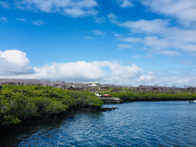 Santa Cruz to Baltra ferry terminal - Ambato