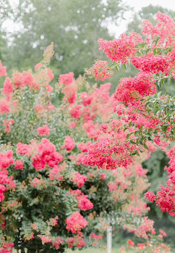 Vineyard «Running Hare Vineyard», reviews and photos, 150 Adelina Rd, Prince Frederick, MD 20678, USA