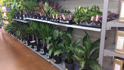 Department Store «Walmart Supercenter», reviews and photos, 109 22nd St, Hondo, TX 78861, USA