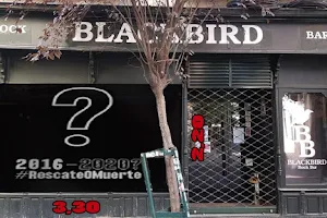 Blackbird Rock Bar image