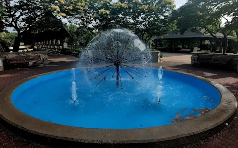 Dandelion Fountain image