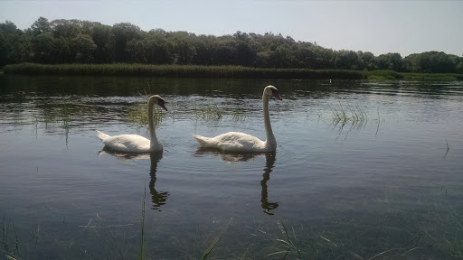 Park «Sweets Knoll State Park», reviews and photos, 1387 Somerset Ave, Dighton, MA 02715, USA