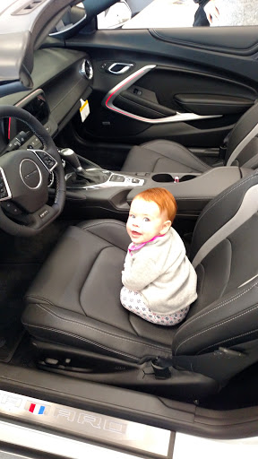 Car Dealer «Williams Chevrolet», reviews and photos, 2600 US-31, Traverse City, MI 49684, USA