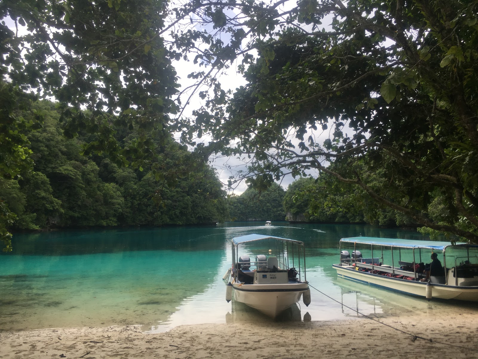 Ngchus Beach photo #8