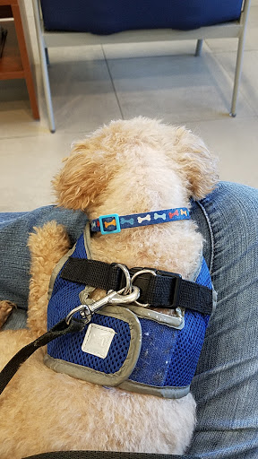 Car Dealer «Tamiami Ford», reviews and photos, 1471 Airport Pulling Rd N, Naples, FL 34104, USA