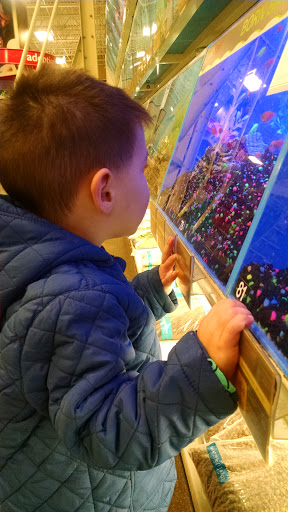 Pet Supply Store «PetSmart», reviews and photos, 4180 US-1, Monmouth Junction, NJ 08852, USA