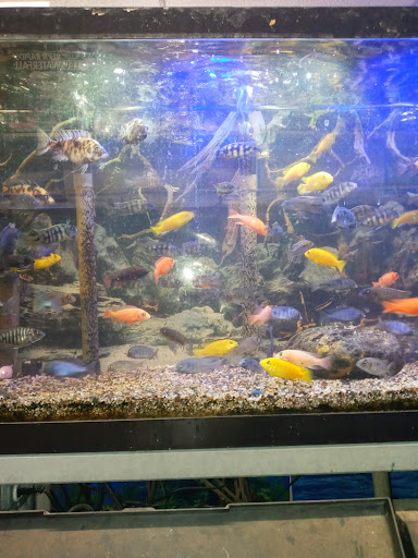 Pet Supply Store «Twins Aquarium», reviews and photos, 7912 N W Ln #223, Stockton, CA 95210, USA