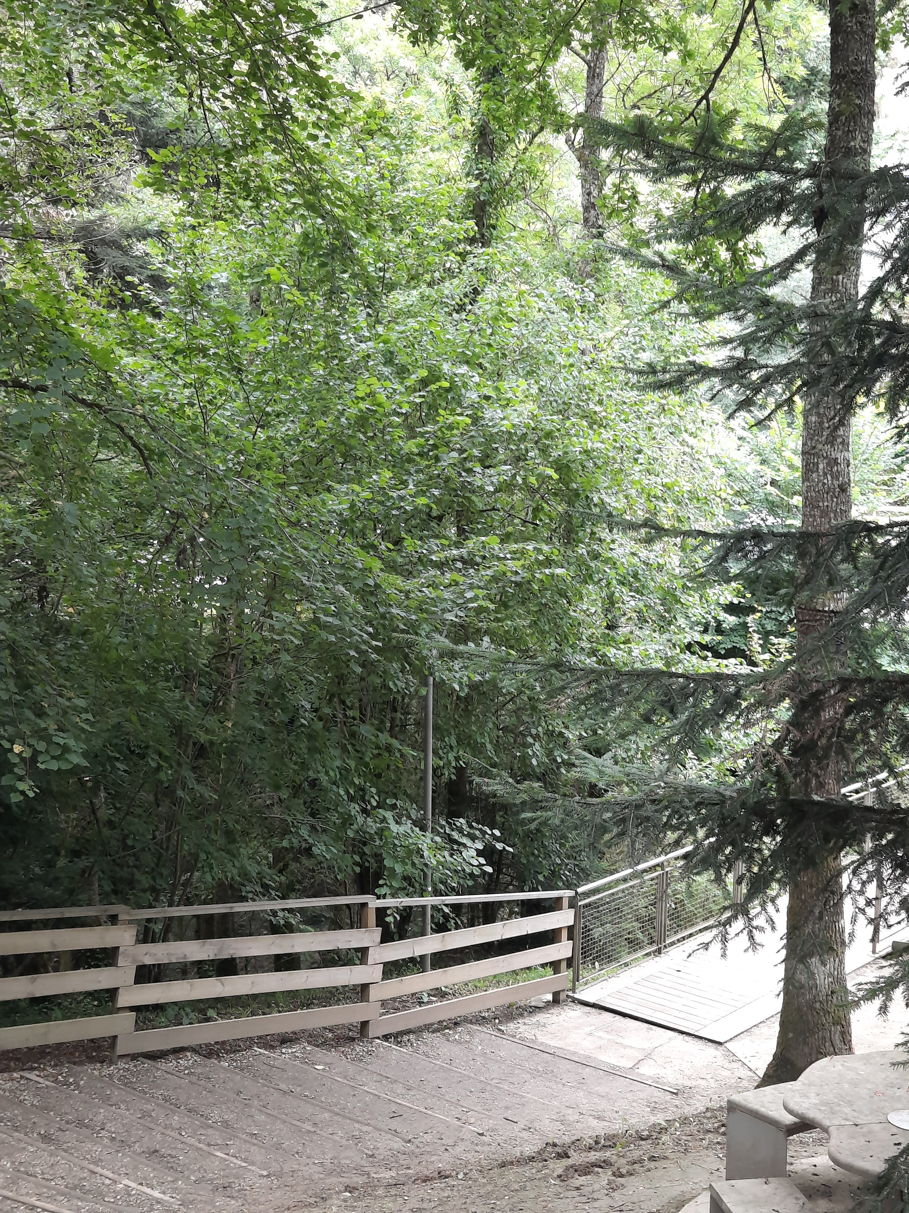 Photo n° 1 de l'avis de A..a fait le 12/08/2021 à 13:15