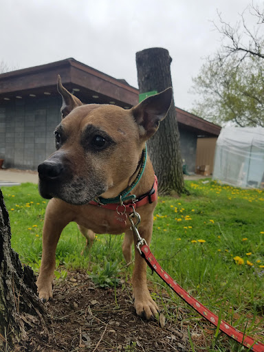 2442 N Triphammer Rd, Ithaca, NY 14850, USA