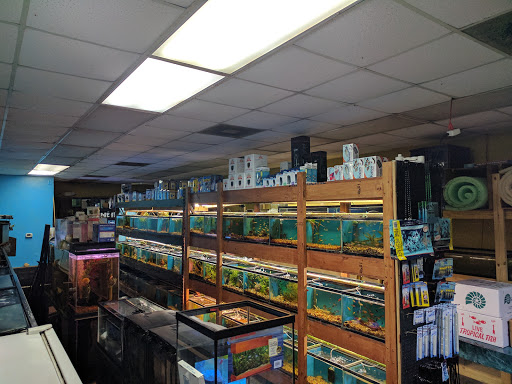 Tropical Fish Store «Westside Aquarium & Pets», reviews and photos, 3402 S Dale Mabry Hwy, Tampa, FL 33629, USA