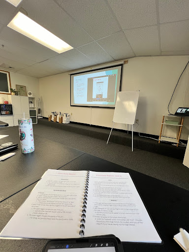 Explore adam and eve tattoo ideas, creative tattoo ideas in Snohomish, available at Valley Roots Studio