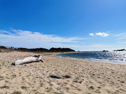 Photo de Chevanu beach II avec un niveau de propreté de très propre