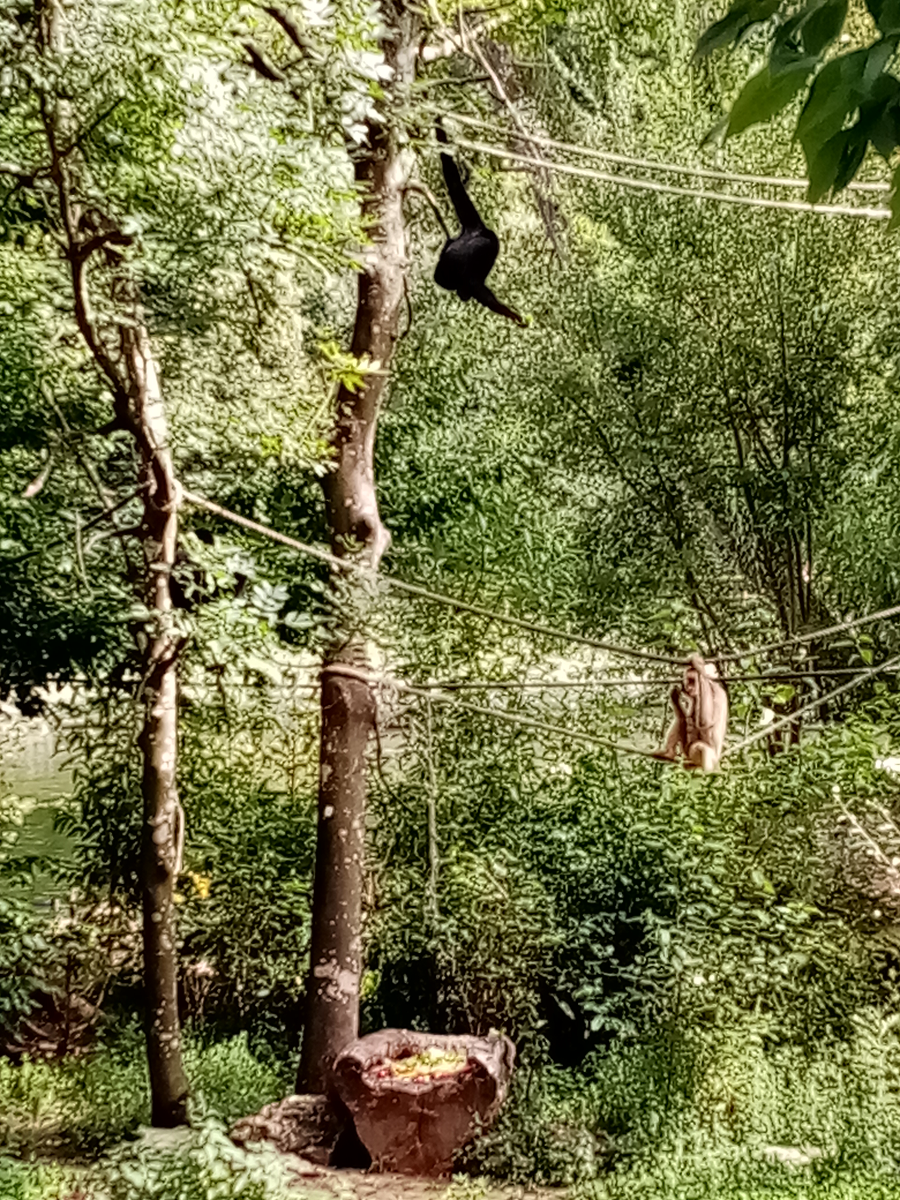 Photo n° 1 de l'avis de Alex.R fait le 23/03/2023 à 17:40