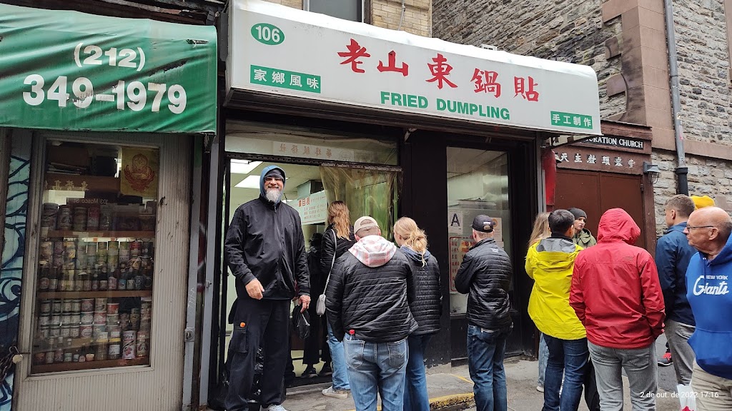 Fried Dumpling 10013