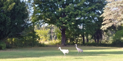 Golf Course «Elbel Golf Course», reviews and photos, 26595 Auten Rd, South Bend, IN 46628, USA