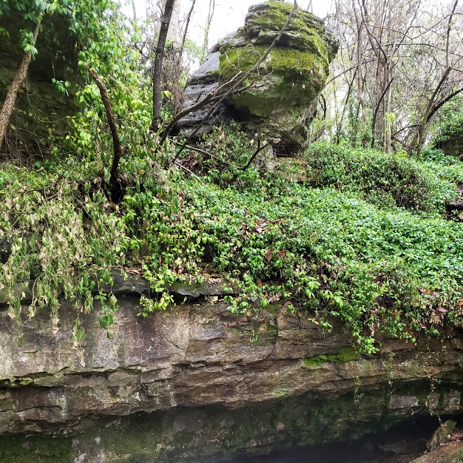 Sarcoxie Cave & Spring Natural Grounds