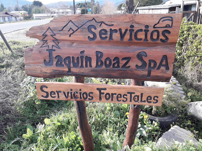 Opiniones de Serv.Jaquin Boaz SpA en Arauco - Spa