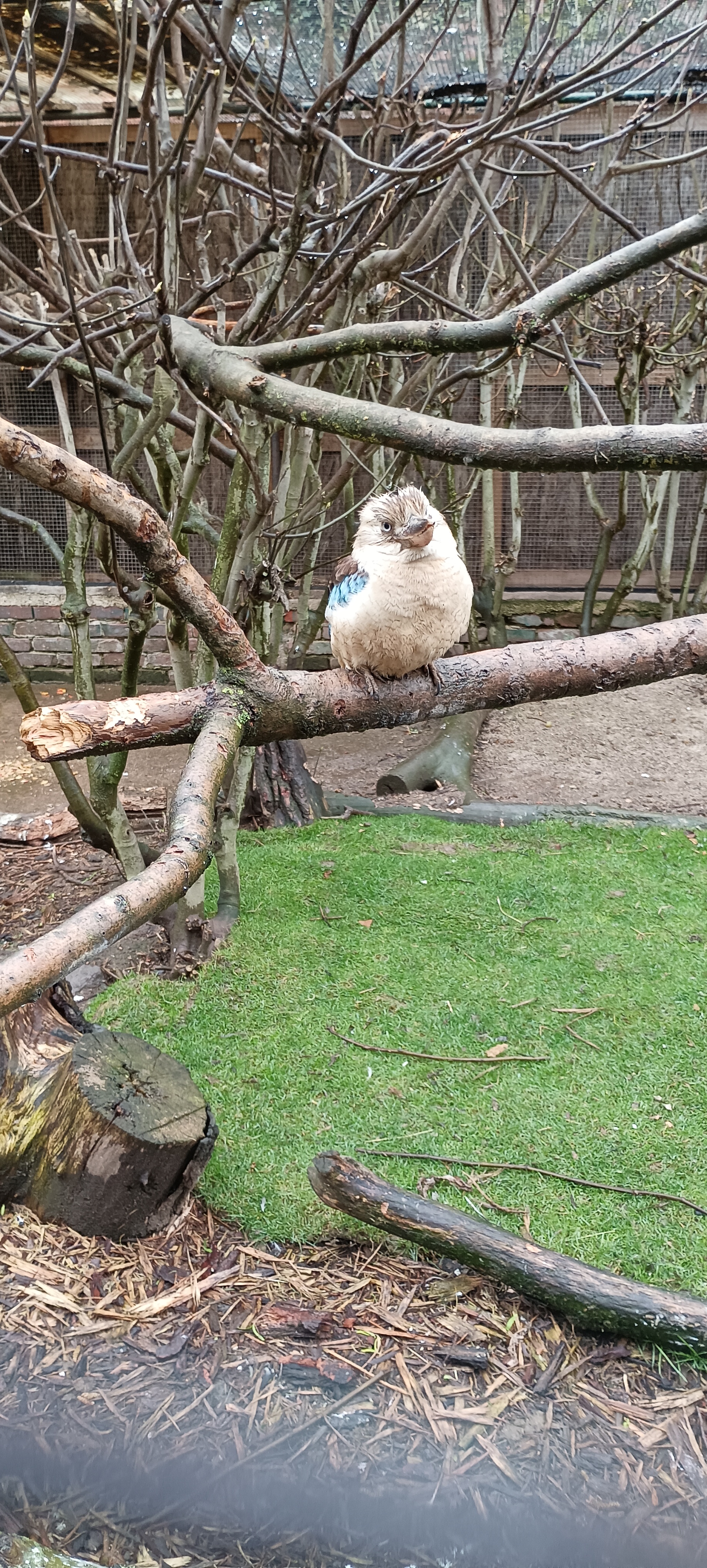 Photo n° 5 de l'avis de Antoine.i fait le 03/04/2023 à 08:17