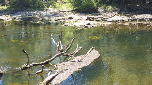 Park «Lithia Springs Park», reviews and photos, 3932 Lithia Springs Rd, Lithia, FL 33547, USA