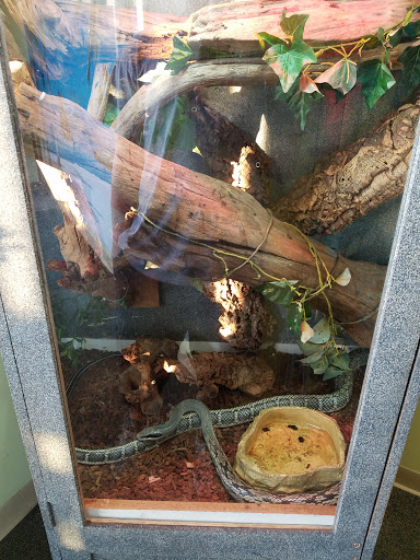 Pet Store «Wet Pet & Reptile Center», reviews and photos, 429 Eastern Blvd, Essex, MD 21221, USA