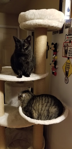 Pet Supply Store «Pet Valu», reviews and photos, 1539 S Pleasant Valley Rd, Winchester, VA 22601, USA